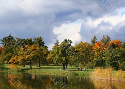 Colorful old autumn park