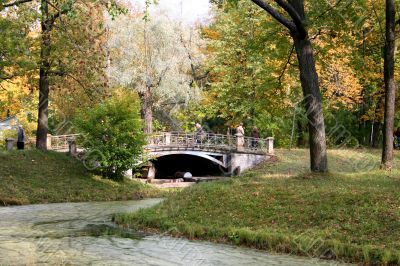 Colorful old autumn park