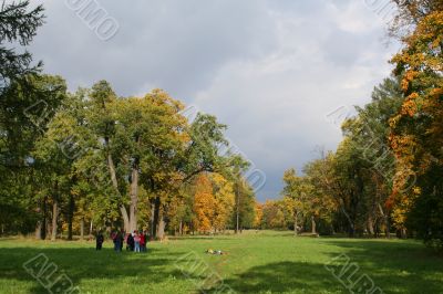 Colorful old autumn park