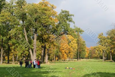 Colorful old autumn park