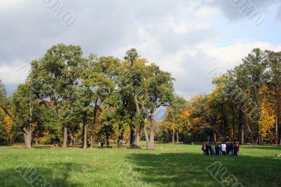 Colorful old autumn park
