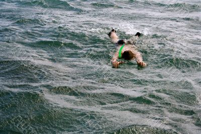 Snorkeling