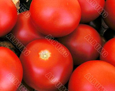 A bunch of tomatoes
