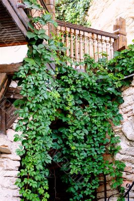 Ancient wall