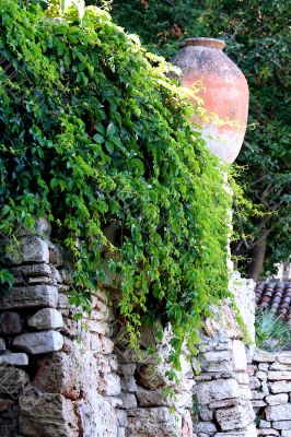 Ancient wall