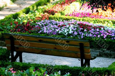 Bench in the garden