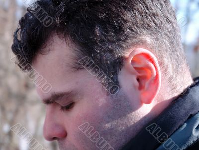 Ear close up