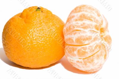 Tangerine components