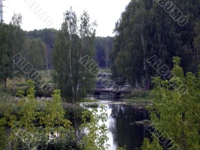 river in forest