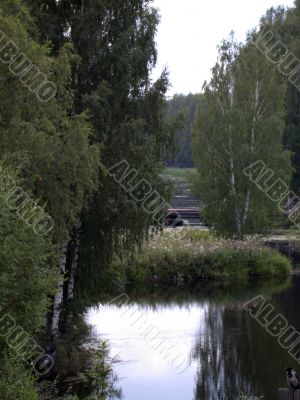 river in forest