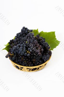 Grape in basket