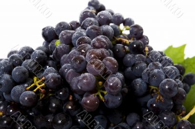 Grape in basket