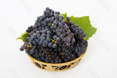 Grape in basket