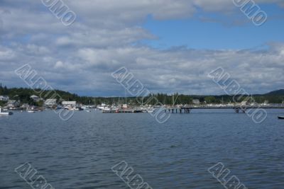 Lobster fleet in harbor