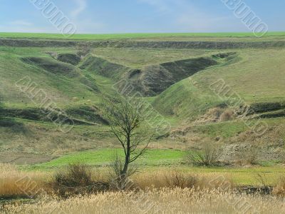  Ravine in the spring