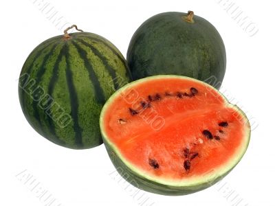  Tasty ripe water-melons
