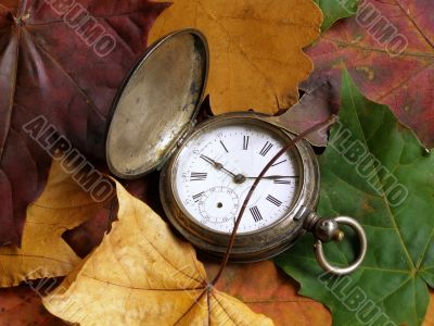 autumn time