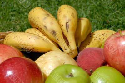 the fruits