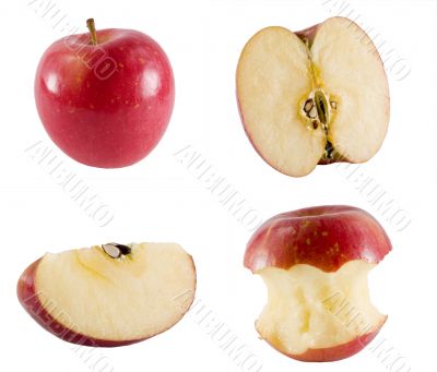 fresh apples