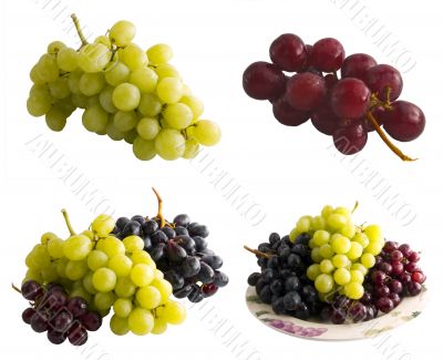 Fresh Isolated Grapes