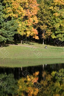Autumn gold
