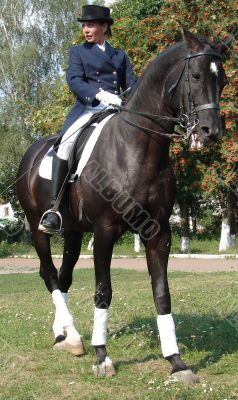 equestrian saddlewoman on black stallion