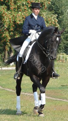 equestrian saddlewoman on black stallion