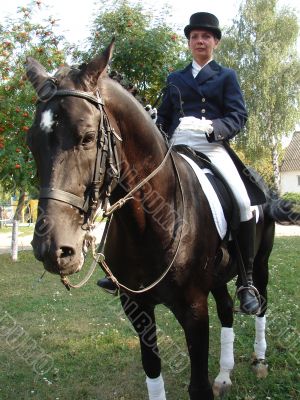 equestrian saddlewoman on black stallion