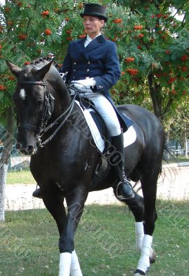 equestrian saddlewoman on black stallion