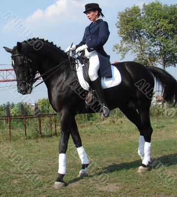 equestrian saddlewoman on black stallion