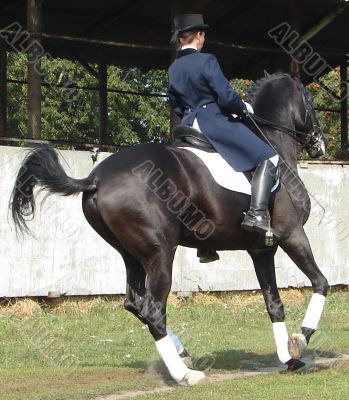 equestrian saddlewoman on black stallion