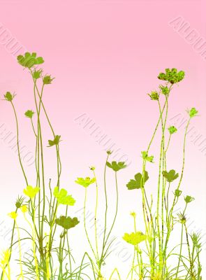 floral style textures