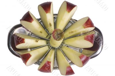 Sliced Apple 3
