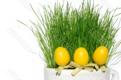 Grass and eggs