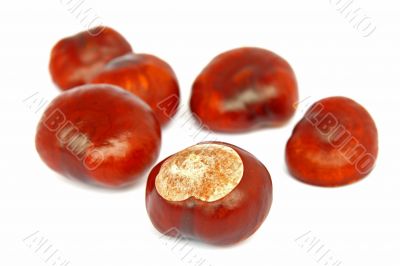 chestnuts isolated