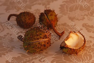 vintage chestnuts