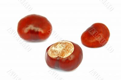 three chestnuts