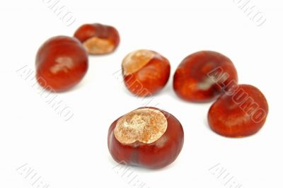 chestnuts on white