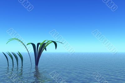 Blue landscape with plants