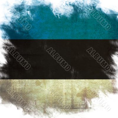 flag of national
