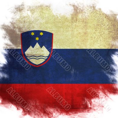 flag of national