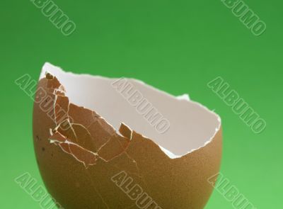 broken eggshell on green