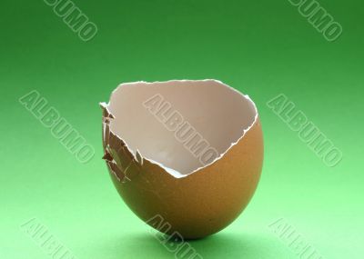 broken eggshell on green