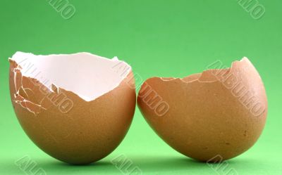 broken eggshell on green