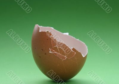 broken eggshell on green