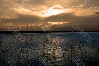evening rushes