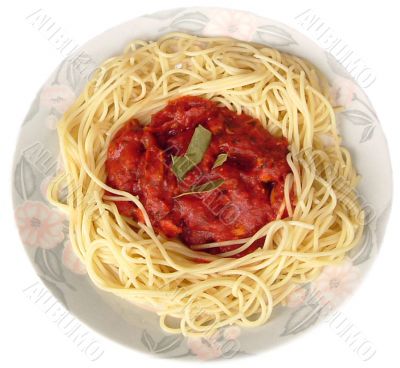 Isolated spaghetti bolognese