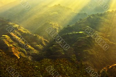 Banaue Rice Terraces