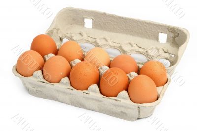 ten eggs in a box