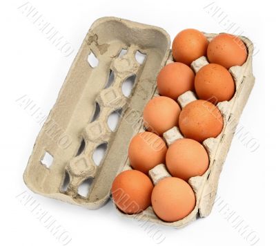 ten eggs in a box #2